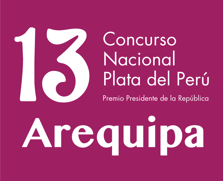 13 CONCURSO – AREQUIPA 2009