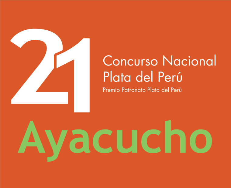 21 CONCURSO – AYACUCHO 2017