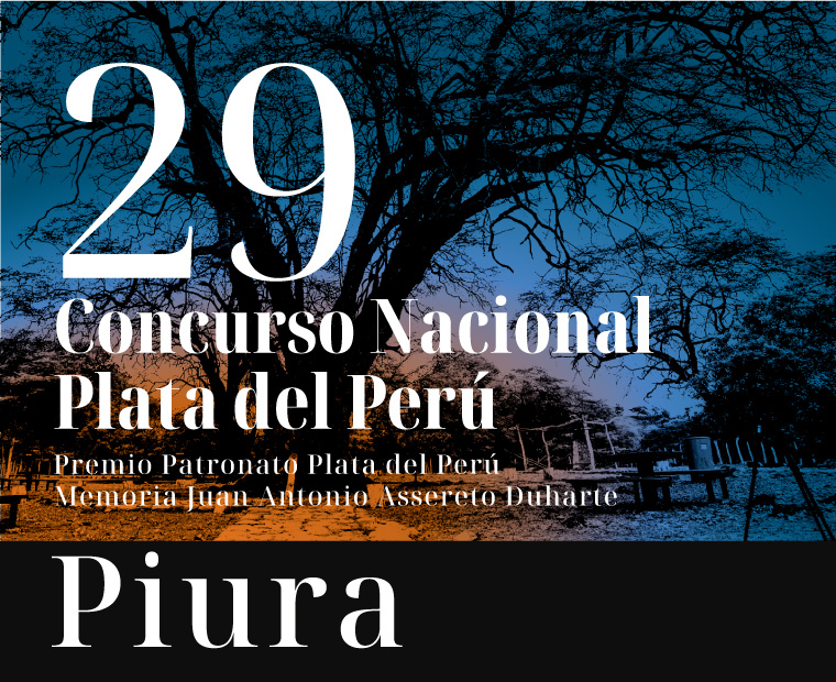 29 CONCURSO – PIURA 2025